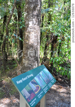 Nature protection signboard 12638878