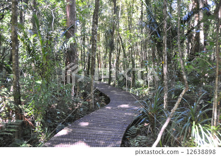 nature conservation 12638898