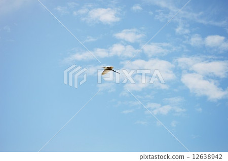 Flight Flight 12638942