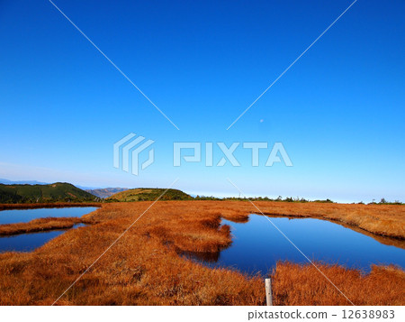 Himeki no Hime Pond 12638983