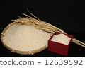 Rice and ear rice 12639592