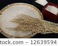 Rice and ear rice 12639594