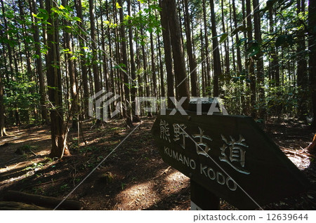 熊野古道 熊野古道 12639644