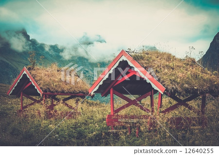 Traditional norwegian arbour standing in a lush 12640255