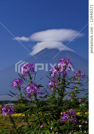 富士山和西風合唱團 12640371