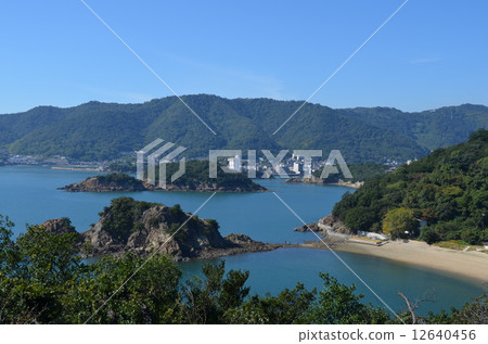 Senzhenjima 12640456