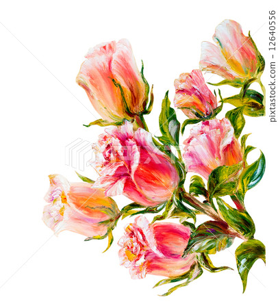 Roses isolated on white, oil painting 12640556