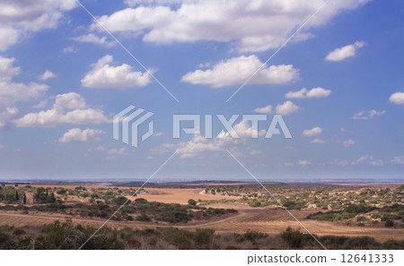 Valley in Israel in the summer. 12641333