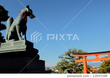 Kyoto Fushimi Inari Taisha Fox and Torii Torii 12643396
