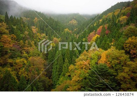 Autumn leaves stained in Oku Mikawa colorfully 12643874