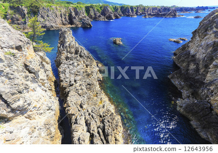 Tropical Senkaku Bay 12643956