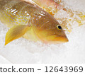 Luxury fish 12643969