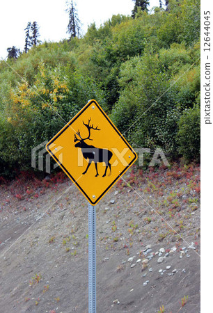 阿拉斯加馴鹿標誌 12644045