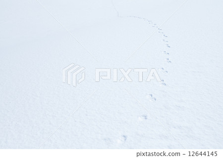 Snow background 12644145