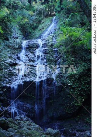 Flying dragonfall Flying dragonfall 12645086