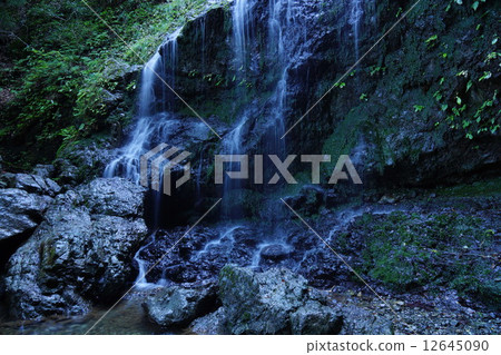 Flying dragonfall Flying dragonfall 12645090