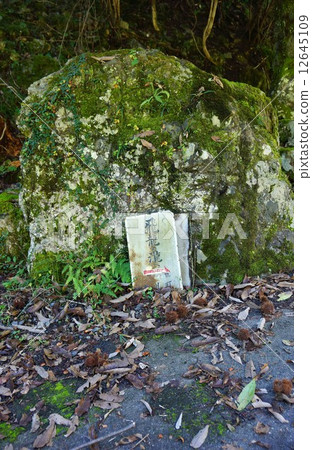 Flying dragon waterfall guide plate 12645109