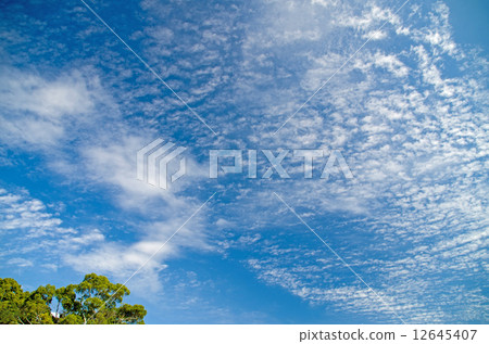 Autumn sky Autumn sky 12645407