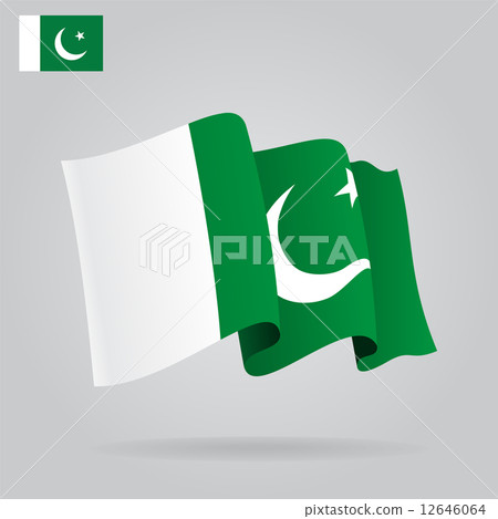 Flat and waving Pakistani Flag. Vector Flat and waving Pakistani Flag. Vector 12646064