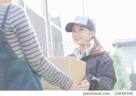 delivery delivery 12646389