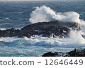 Rough waves 12646449