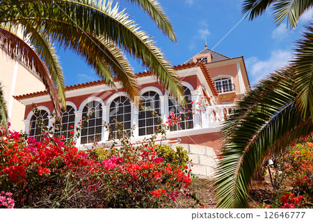 Luxury hotel decorated with flowers and palm's fronds, Tenerife Luxury hotel decorated with flowers and palm's fronds, Tenerife 12646777