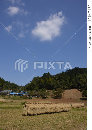 Satoyama Tsurumi河源於東京9月 Satoyama Tsurumi河源於東京9月 12647121