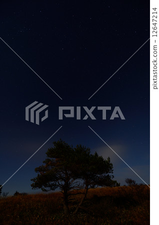 高地面高原 12647214