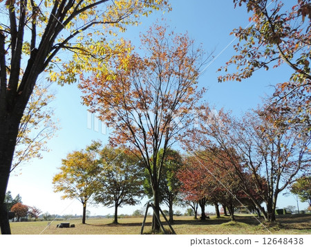 多彩多姿的秋天風景 多彩多姿的秋天風景 12648438