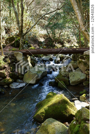 在箱根Chijo noodaki面前清除潮流 12648826