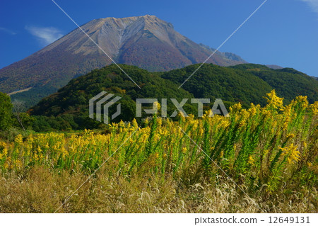 Maikaga和Oyama Maikaga和Oyama 12649131