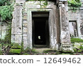 Ta Prohm 12649462