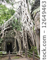 Ta Prohm 12649463