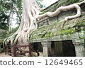 Ta Prohm 12649465