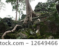 Ta Prohm 12649466