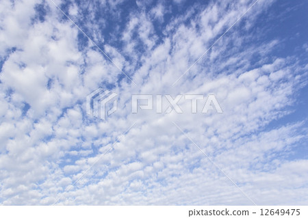 Cloud 12649475