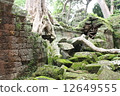 Ta Prohm 12649555