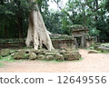 Ta Prohm 12649556