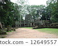 Ta Prohm 12649557