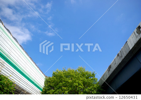 樹和藍天在高架的路之間 12650431