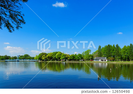 Wakaba and fresh green Mizumoto park and the scenery reflected on the water surface 12650498