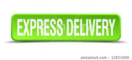 express delivery green 3d realistic square isolated button 12651099