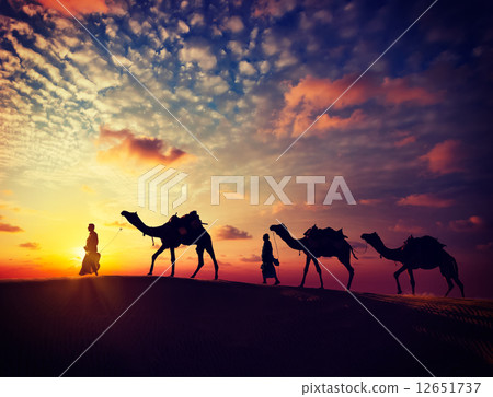 Two cameleers with camels in dunes of Thar deser 12651737