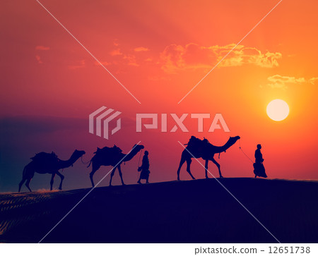 Two cameleers with camels in dunes of Thar deser 12651738