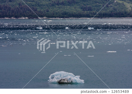 Alaska 12653489