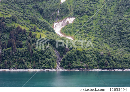Alaska 12653494