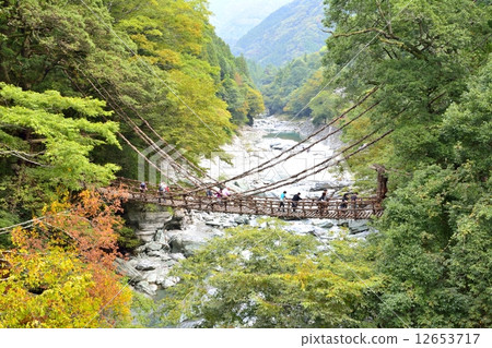 Iya的Kazura橋 12653717