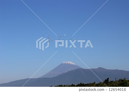 Fuji and birds Fuji and birds 12654018
