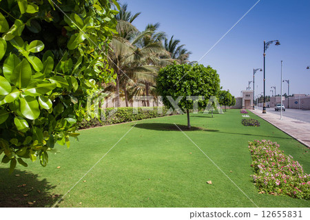 Salalah Salalah 12655831