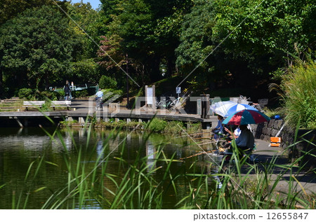 Herahuna fishing 12655847